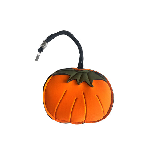 T-PUMPKIN